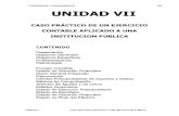 UNIDAD VII Caso Practico.pdf