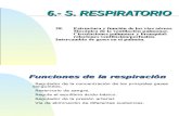 28.- Estructura y Mecánica Sistema respiratorio