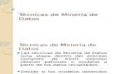 Tecnicas_de_Mineria_de_Datos (1).pptx