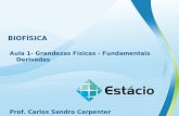 BIOFÍSICA Aula 1- Grandezas Físicas - Fundamentais Derivadas Prof. Carlos Sandro Carpenter.