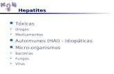 Hepatites Tóxicas   Drogas   Medicamentos Autoimunes (HAI) - Idiopáticas Micro-organismos   Bactérias   Fungos   Vírus.