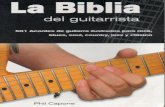 Biblia Guitarrista lite.pdf
