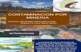 Contaminacion Por Mineria