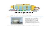 La Esctructura Del Hospital Esta Diseñada Para Cumplir Las Funciones de Prevención