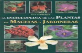 Vermeulen Nico - Enciclopedia de Las Plantas de Macetas Y Jardineras