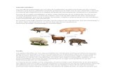 Descripcion de clases de Animales Mamiferos
