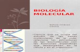 Biología Molecular Curso