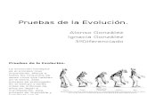 Pruebas de La Evolución BIOLOGIA