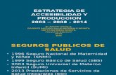 1 Estrategia Accesibilidad y Produccion 2003 Al 2008 SMI 40316