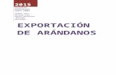 Exportacion de Arandanos