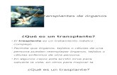 Transplantes de Oraganos