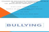 aprende lo que es el Bullying
