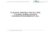 caso_practico gubernamental.pdf
