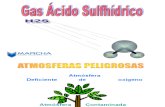 Capitulo 07_acido Sulfhidrico