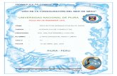 Proyectos Hidrologicos Peru