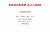 HERRAMIENTAS DEL SISTEMA.pdf