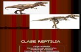 Zoover Reptiles 1
