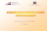 Guía General de PPIs - Paraguay