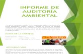 INFORME ELEKTRA AUDITORÍA AMBIENTAL.pptx