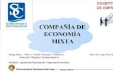 Compañias_Economía Mixta