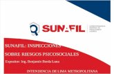 Seminario "Sunafil: Inspecciones sobre riesgos psicosociales"