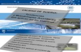 Calidad de Suero_Tendencias y metodos analiticos_INTI.pdf