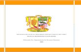 Manual de Funciones de La Municipalidad de El Progreso 25-2-08