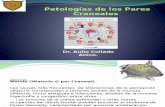 Patologías de los Pares Craneales.pptx