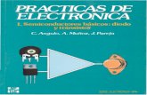Angulo Muñoz y Pareja Practicos Electronica I