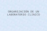 1.-Organización de Un Laboratorio Clinico (1)
