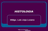 Histologia Animal - Lloja