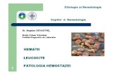 Hematologie Curs.2016 Sevastre (1)