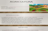 Sector de Agricultura