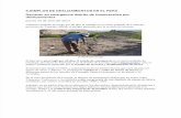 Ejemplos de Deslizamientos en El Perú
