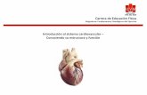 Introducción Sistema Cardiovascular