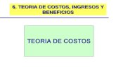 6 Costos e Ingresos.pdf