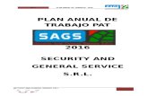 Plan Anual de Seguridad y Salud en el Trabajo 2015