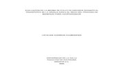 mermas colombia - tesis.pdf