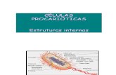 Celula_Eucariotica (Aula 4)