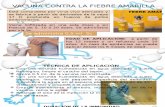 Vacuna Contra Fiebre Amarilla, Varicela y El Virus de La Influenza