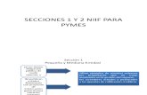 Secciones 1 y 2 Niif Para Pymes