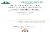 3.DIAGRAMA_CAUSA_EFECTO (3)