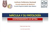 Mácula y su patología.pdf