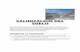 Salinizacion Del Suelo