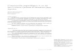 Reynoso Et Al - Conservacion Arqueologica - La Huerta(1)