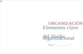 Elementos Claves Del Diseño Organizacional