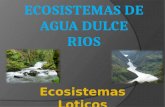 ecosistemas de los rios