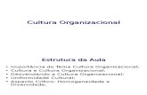 Aula Cultura Organizacional v1