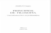 CARPIO, A. P., Principios de Filosofía, Buenos Aires, Glauco, 2004, Cap. VIII [Pp. 155-80]