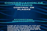Conservación de granos control de plagas.pdf